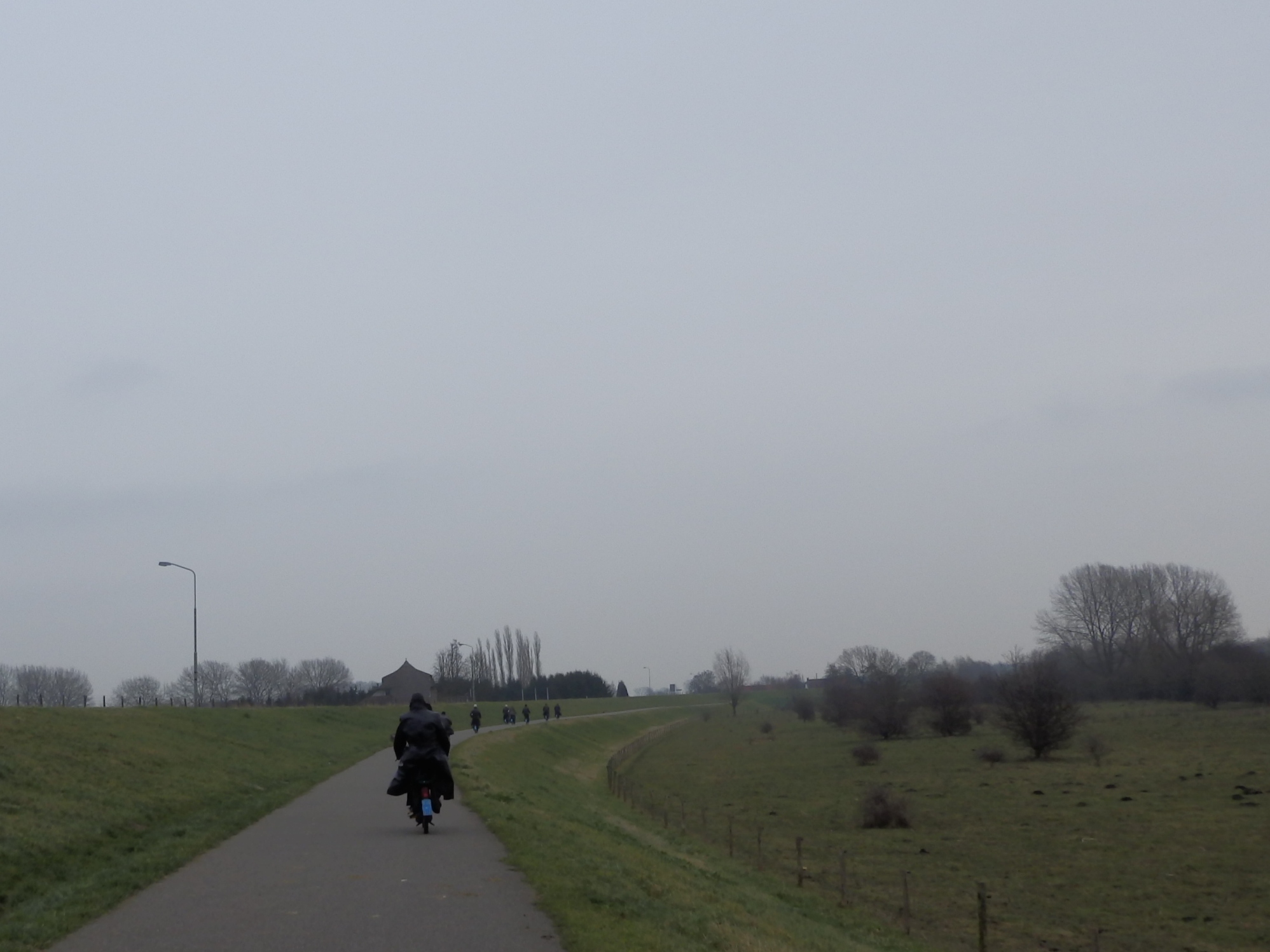 NWK 2014 017.jpg